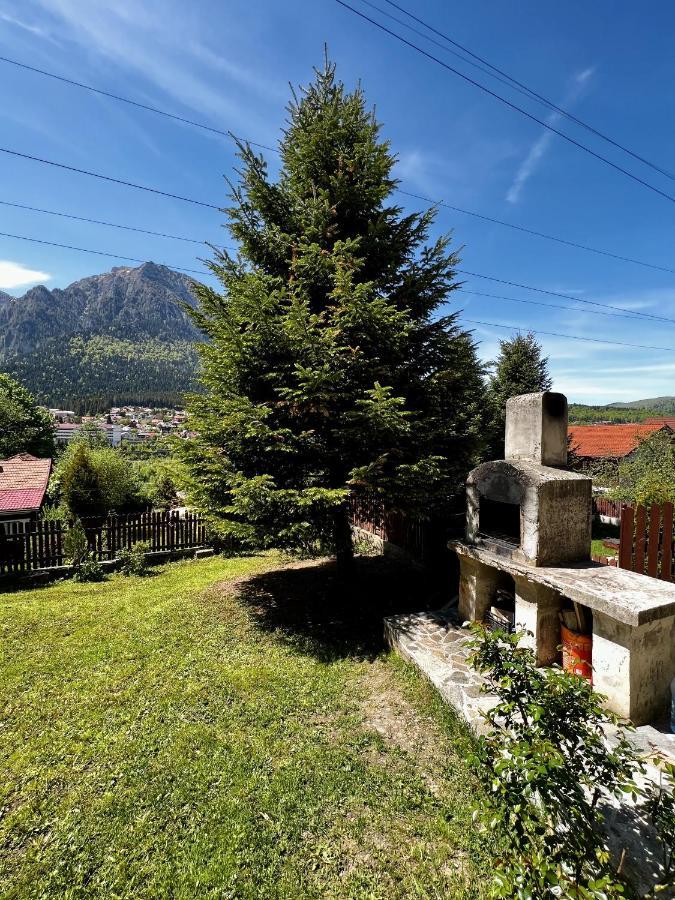 The Bear House 2 Villa Buşteni Eksteriør billede