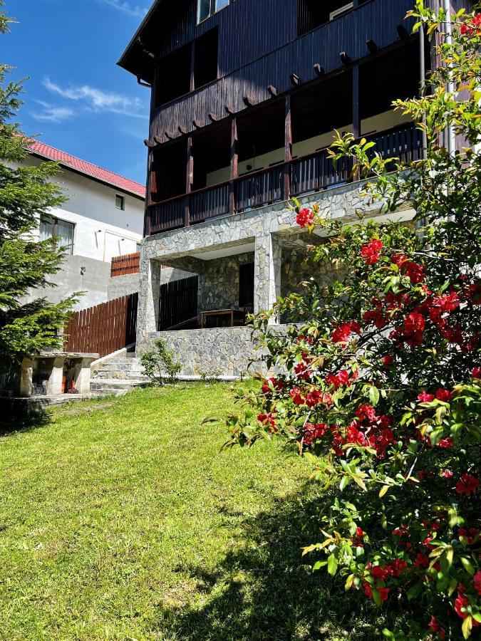 The Bear House 2 Villa Buşteni Eksteriør billede